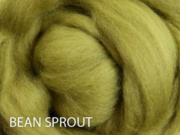 Ashford Kammzug Merino - Beansprout