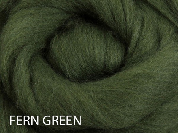 Ashford Kammzug Merino - Fern Green